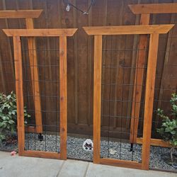 Garden Trellis 