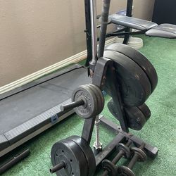 Weights With Free Bench  