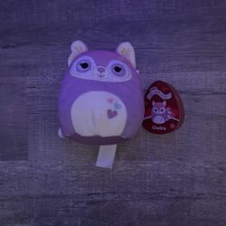 chaitra squish mallow