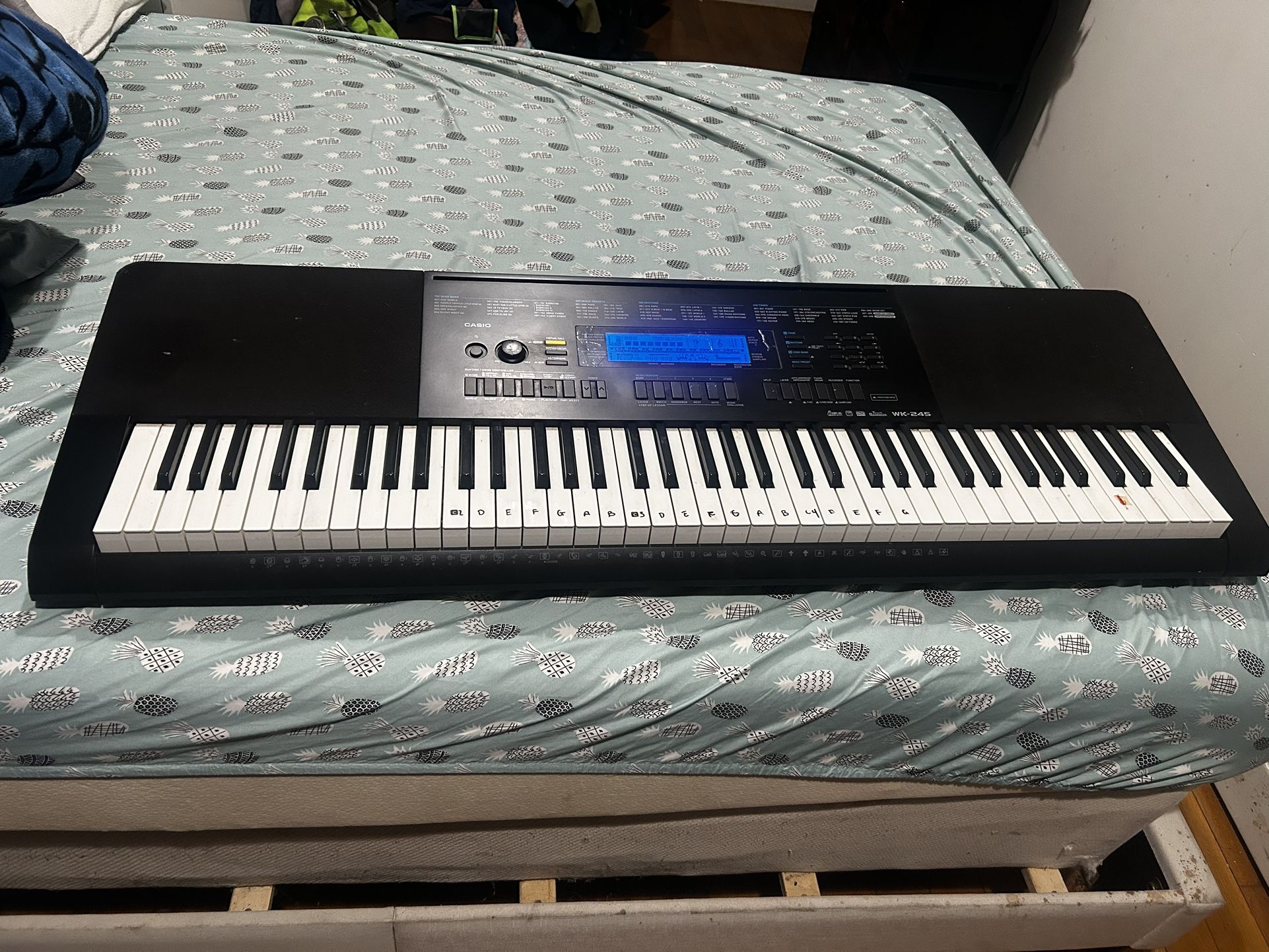 Casio Piano Used