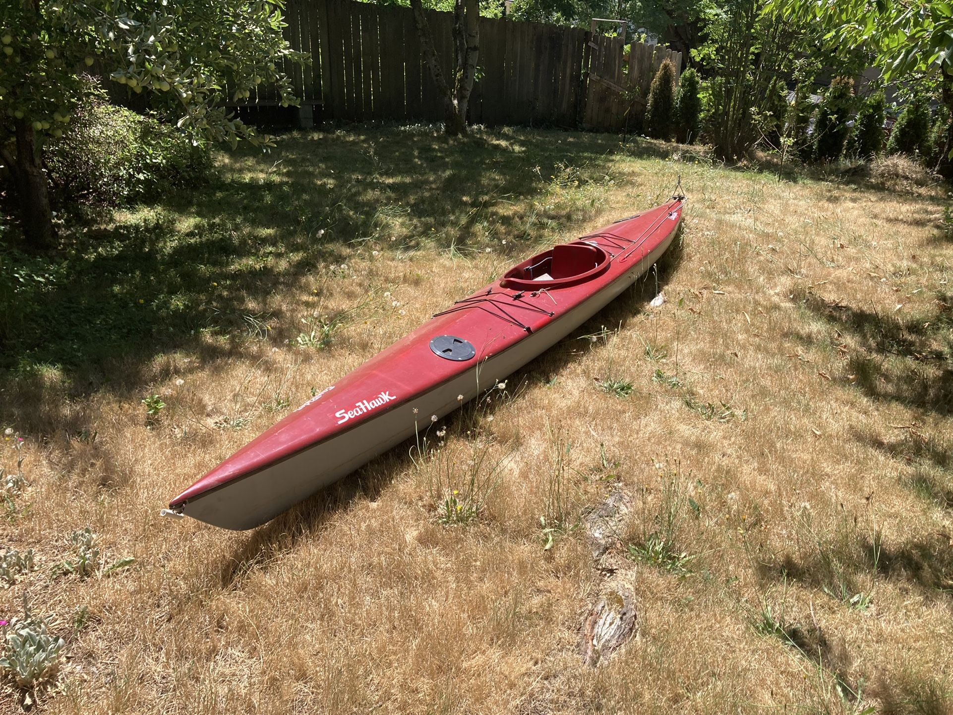 Easy Rider SeaHawk Kayak 17’