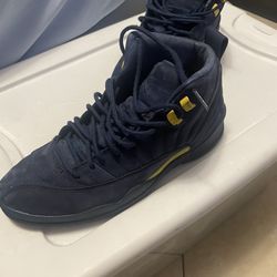 Michigan Jordan 12s