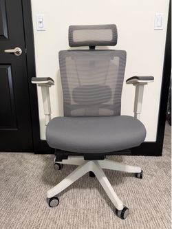 Ergonomic Chair