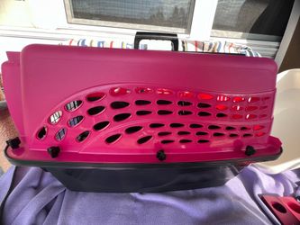 Large Hard-Sided Two-Door Cat Carrier & Hidey Hole Bed with Fluffy Cushion Bottom