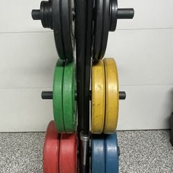 Bumper Plate Pendlay- Barbell - Plate Holder 
