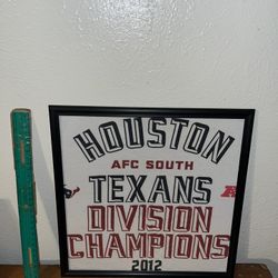 Houston Texans Frame 