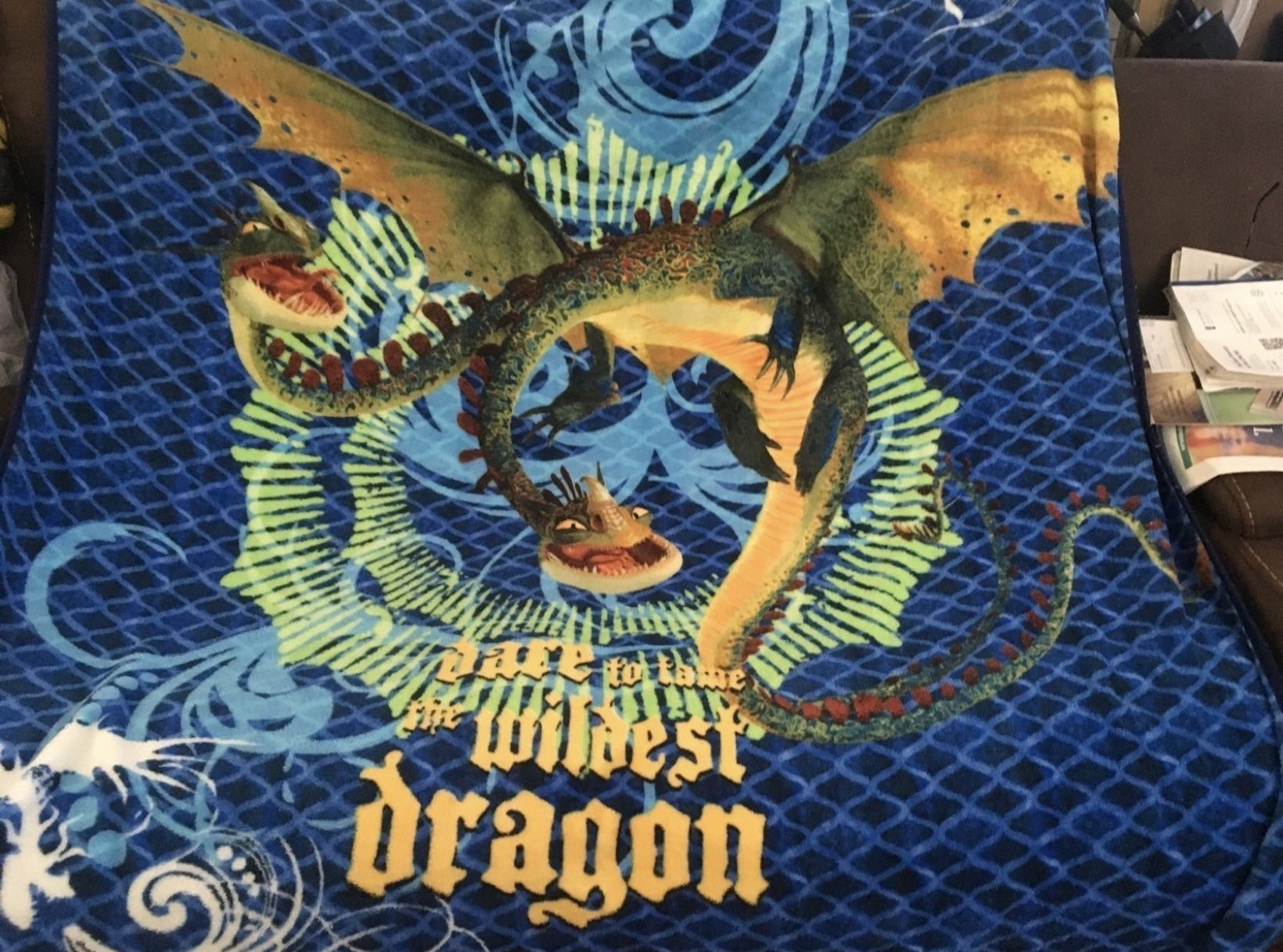 Dreamworks How To Train Your Dragon Barf & Belch blanket or throw
