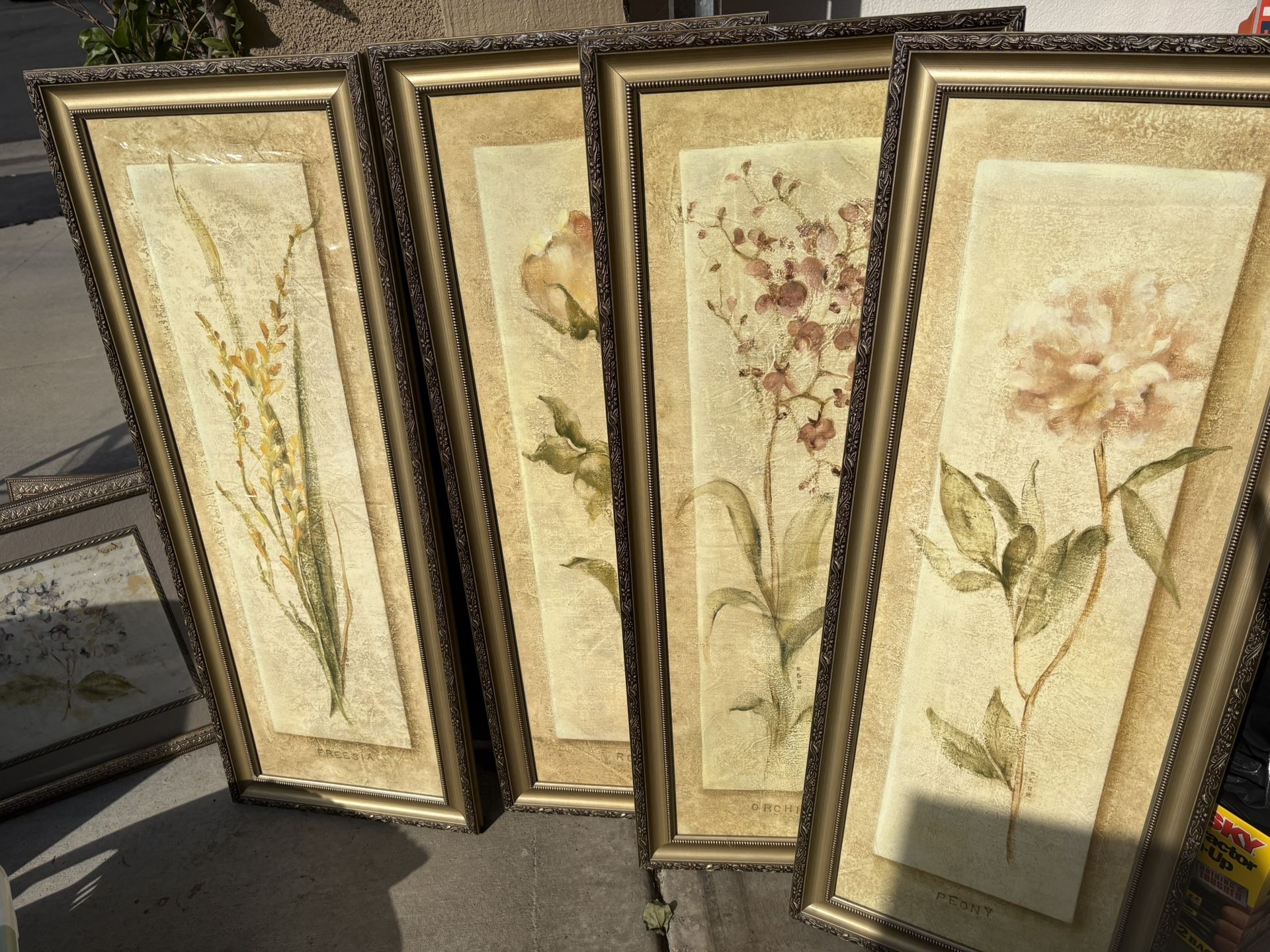 Various Decorative Picture Frames 