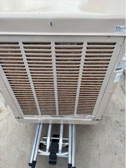 Swamp cooler champion 3000 cfm