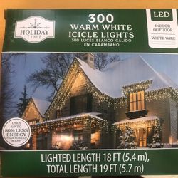 300 Warm White Lights