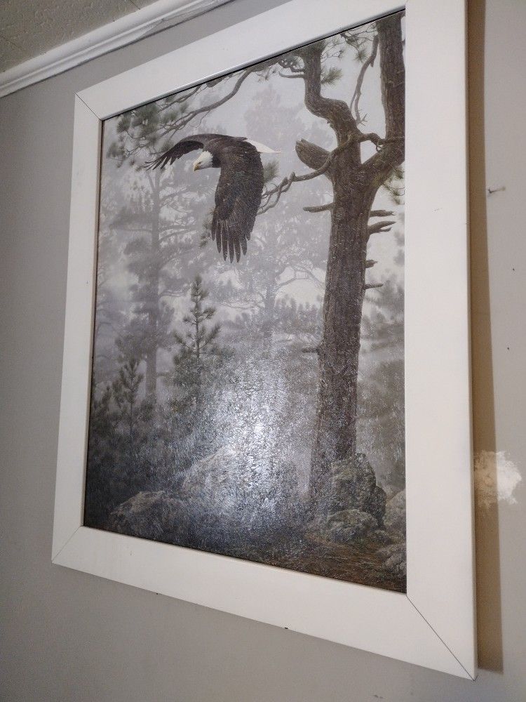Eagle Framed Picture And Dreamcatcher Set