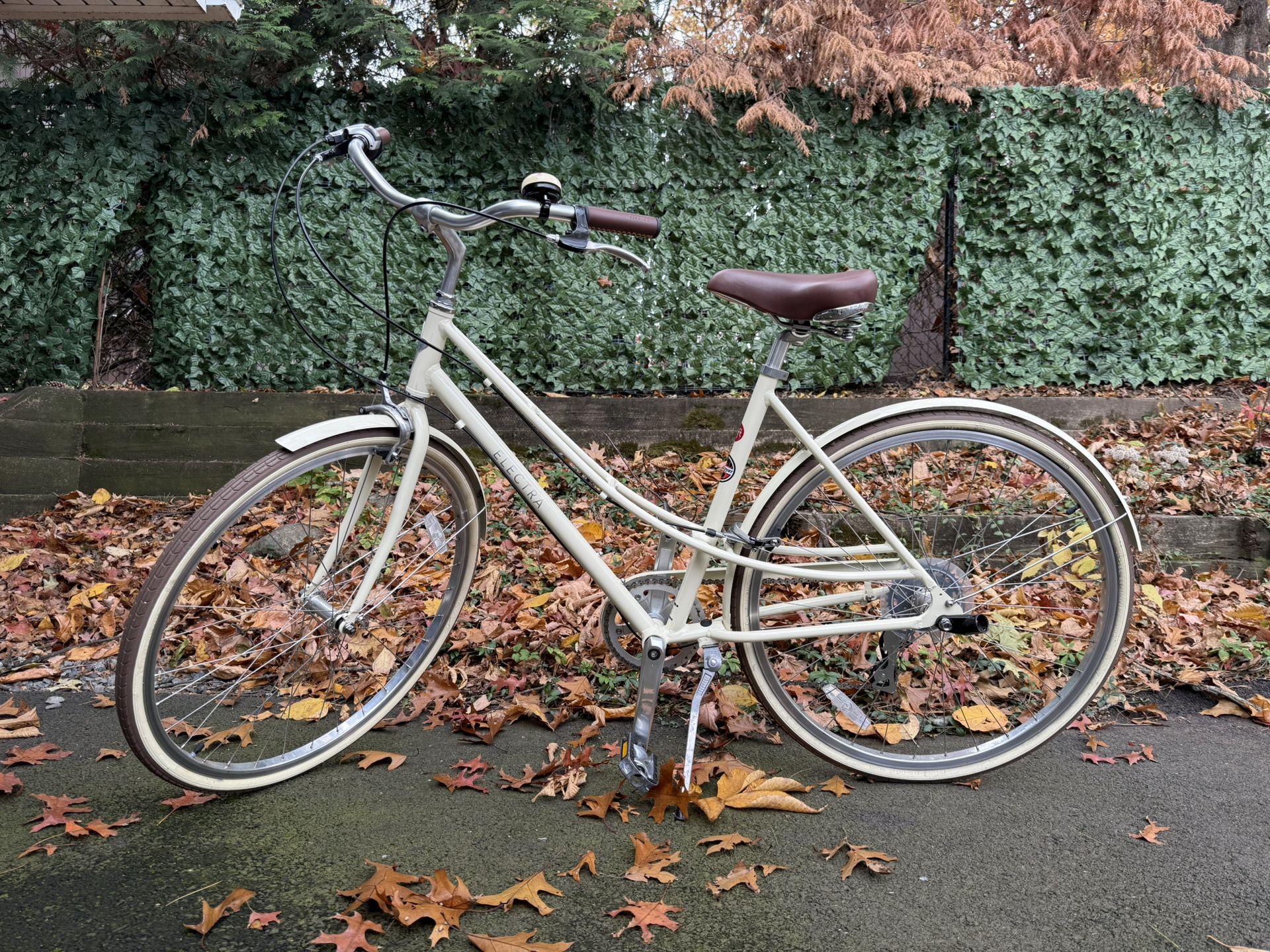 🚲 Ride in Style – Electra Bicycle + Optional Trailer! 🚲