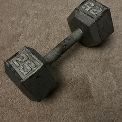 One 25LBS dumbbell 