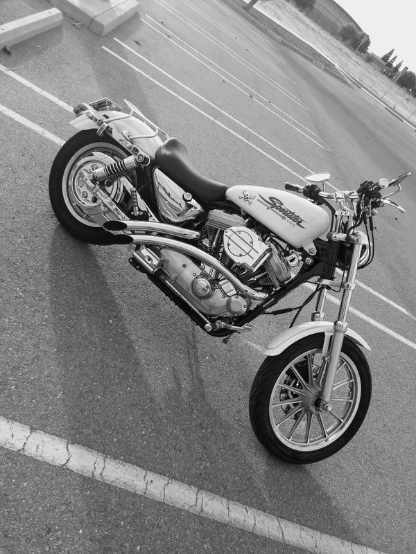 2000 harley davidson sportster.