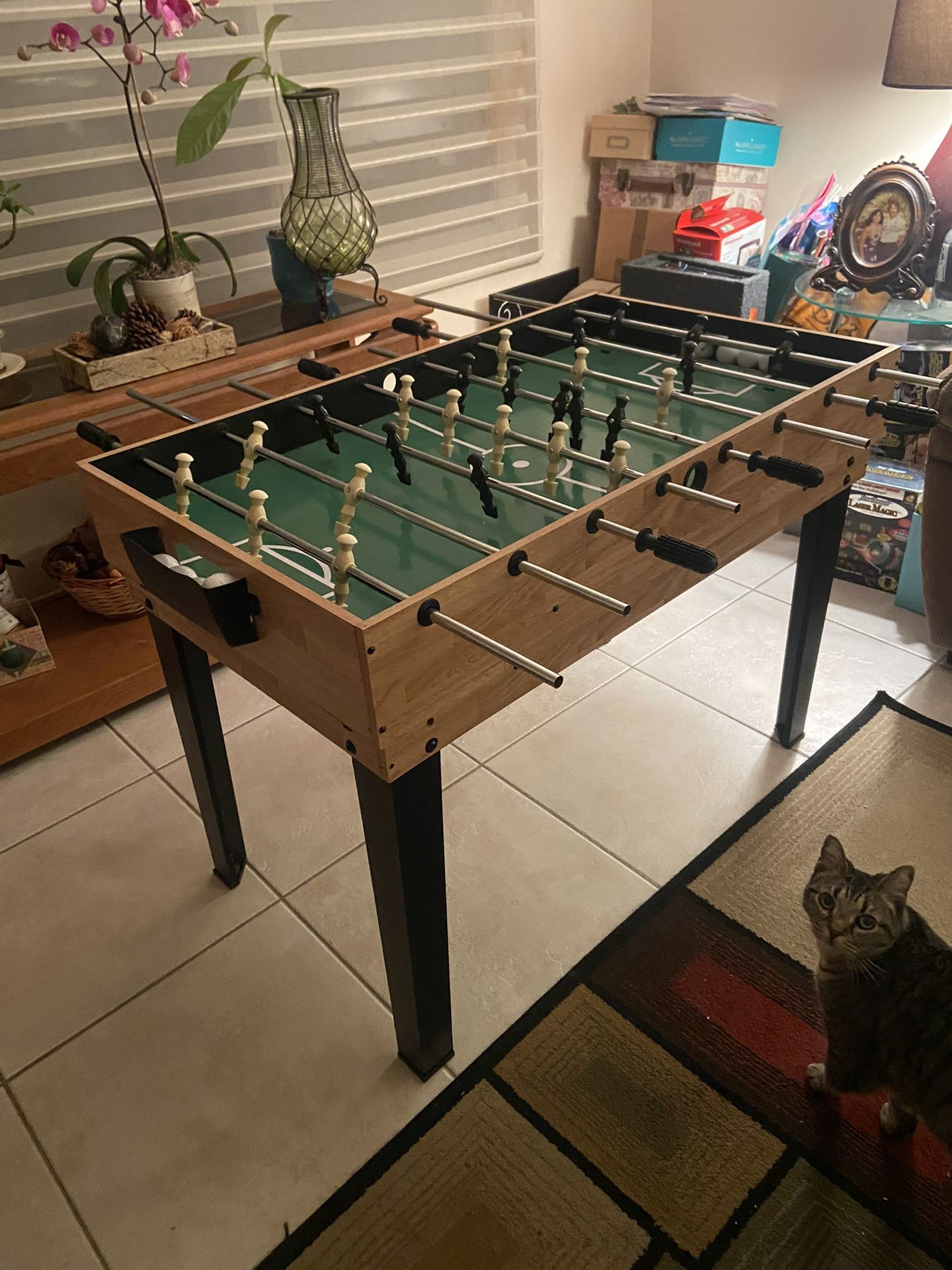 Pool Table/Activity Table 