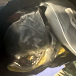 Wigs And Braiding Hair 