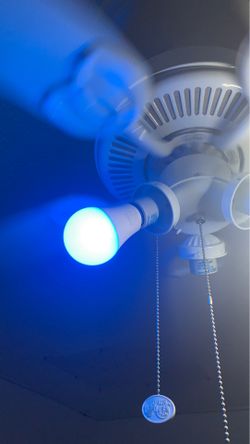 Smart light bulb