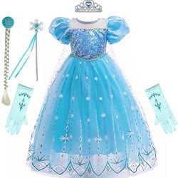 Elsa dress Costume