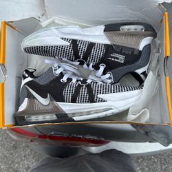 Lebron Basketball Shoes