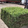 Grass Pallets