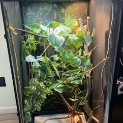 Chameleon Screen Cage