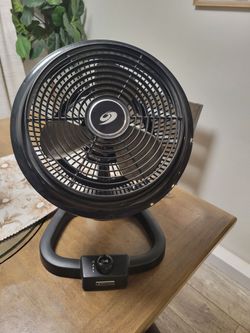 Bionaire Fan