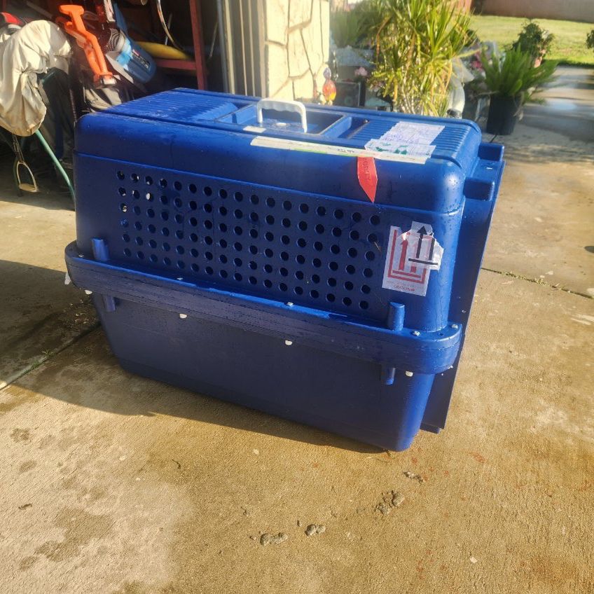 XXL Dog Shipping Crate