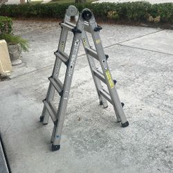 Cosco Adjustable Ladder
