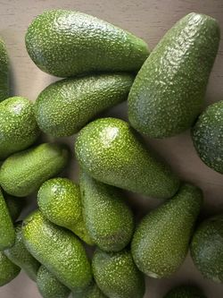 Fresh Avocados