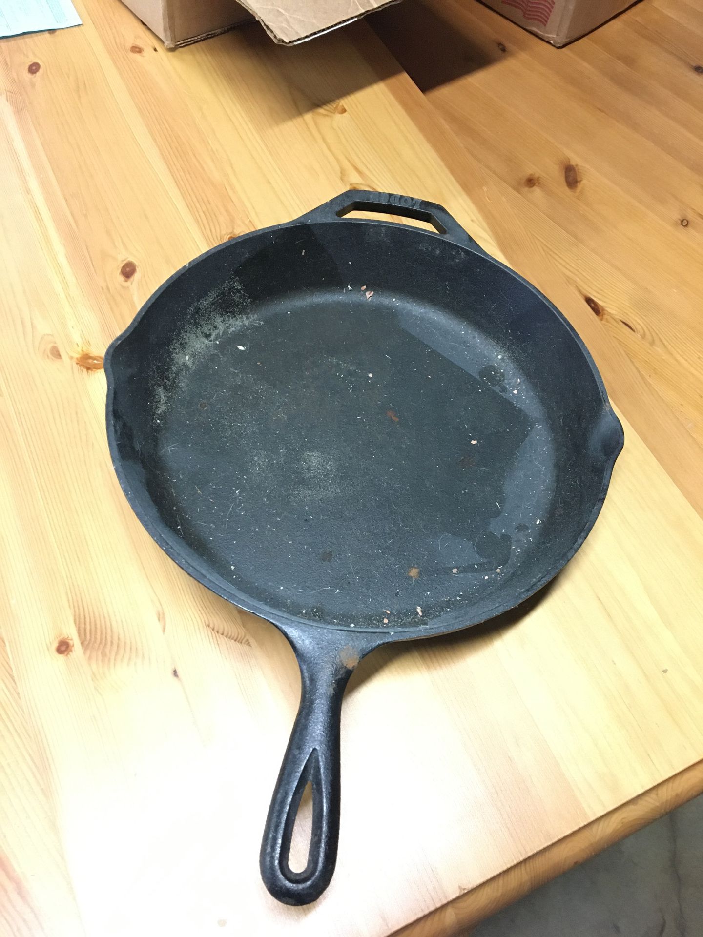 Big lodge cast iron pan