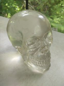Resin skull