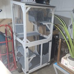Catio