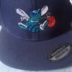 Charlotte Hornets Hat