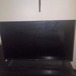 42 Inch Vizio tv