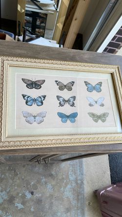 Framed Wall Art 