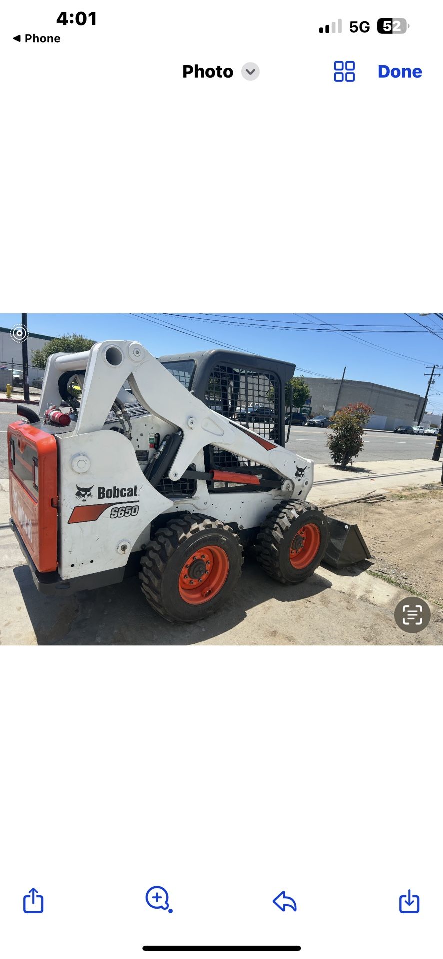 Bobcat