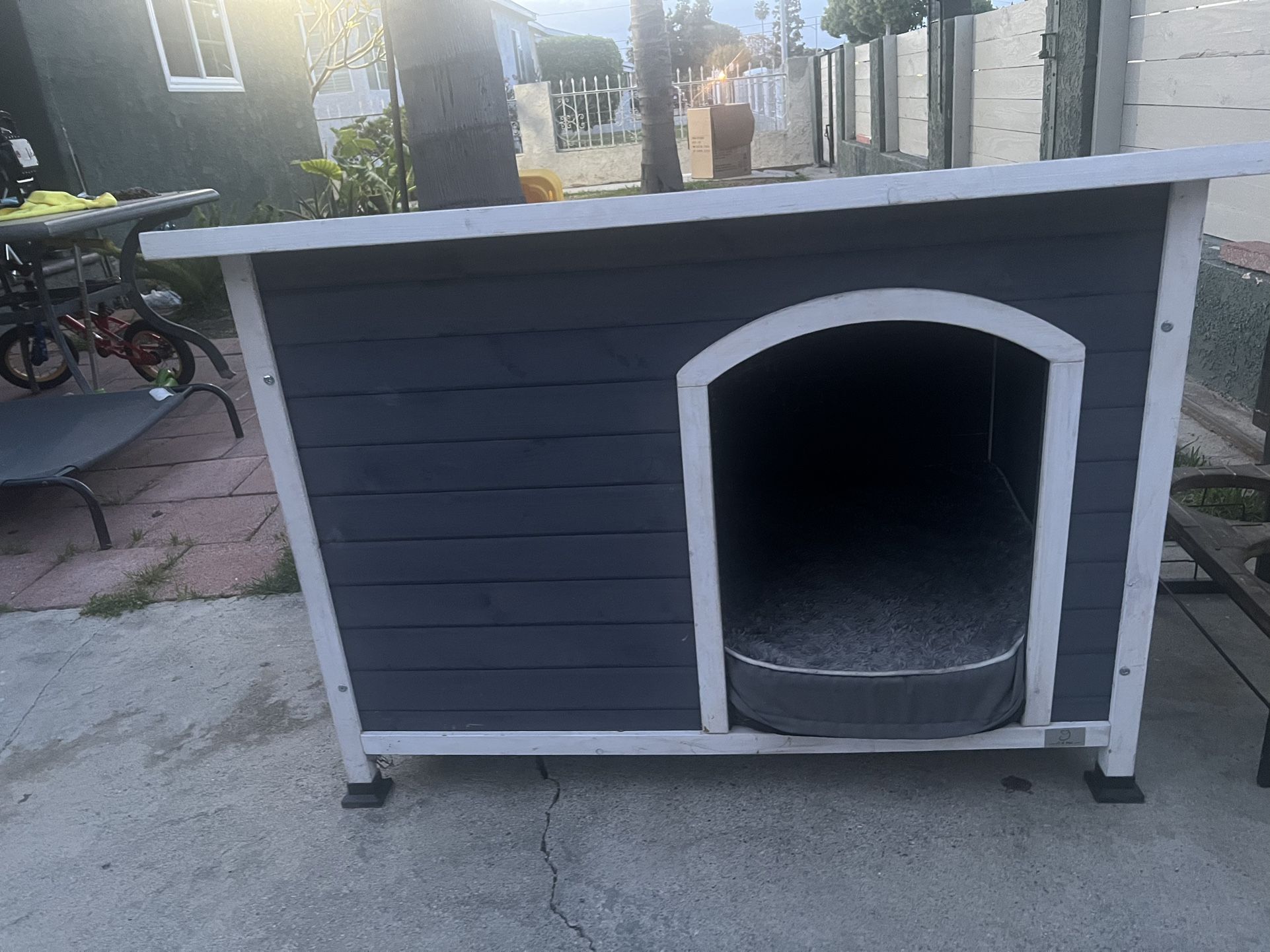 Dog House