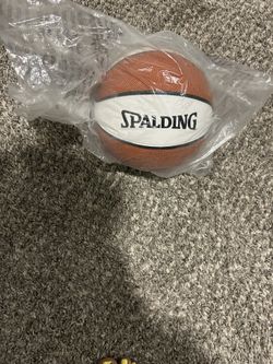 Washington Wizards Rawlings mini basketball 