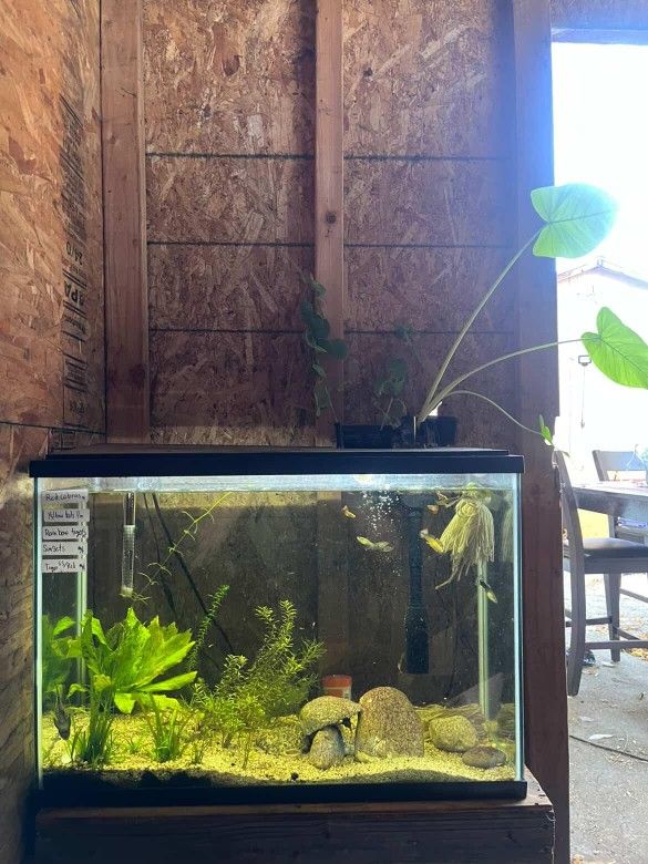 Fish Tank ( Read Description)