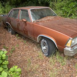Malibu 1980