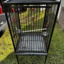 Steel Bird Cage $250 Obo 