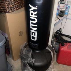 Punching Bag Century 
