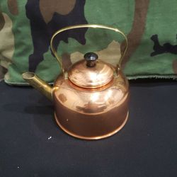 Cute 2-3 Cup Tea Kettle