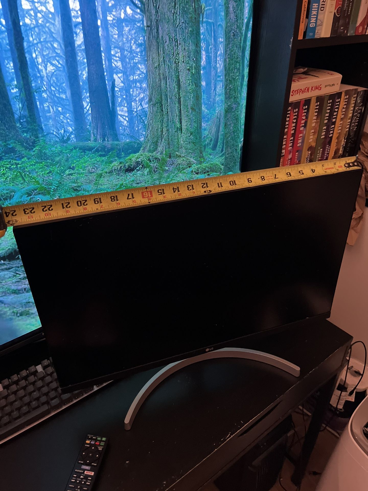 LG 27 In Monitor