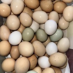 Farm Fresh Eggs 