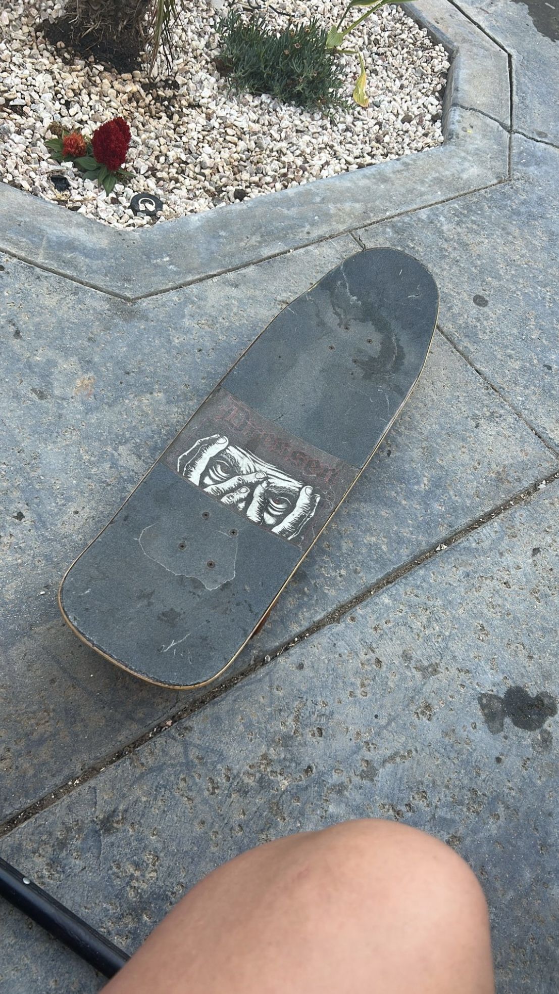 Skate Board