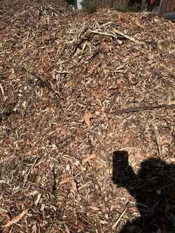 Free Mulch