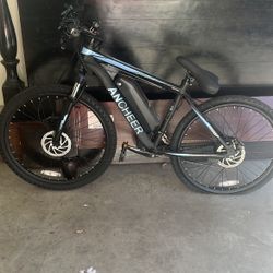 Electric Bike