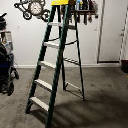 6 Foot Ladder