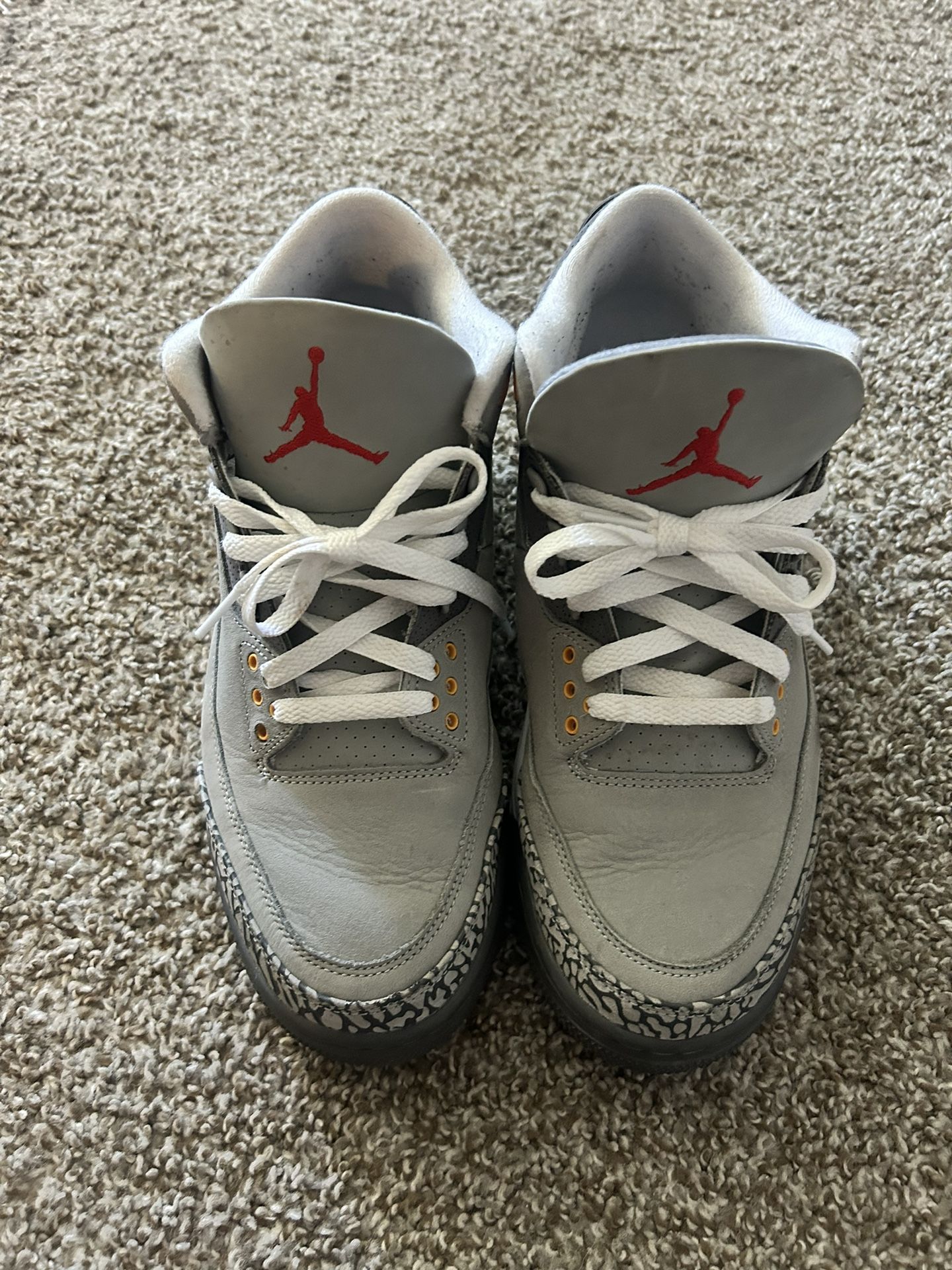 Cool Gray 3s Size 10